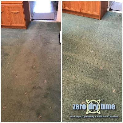 Professional dry carpet cleaning by Zero Dry Time Farnham