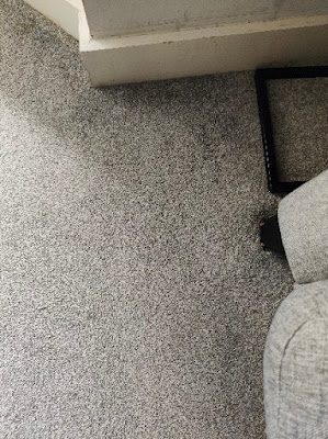 Professional dry carpet cleaning by Zero Dry Time Farnham