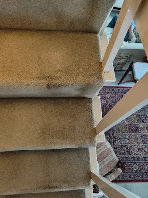 Professional dry carpet cleaning by Zero Dry Time Farnham