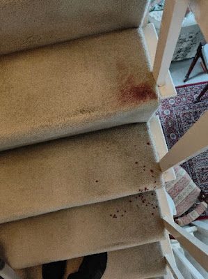 Professional dry carpet cleaning by Zero Dry Time Farnham