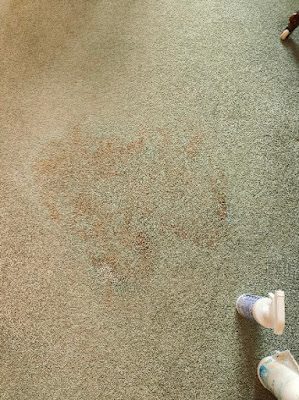 Professional dry carpet cleaning by Zero Dry Time Farnham
