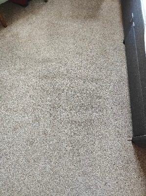 Professional dry carpet cleaning by Zero Dry Time Farnham