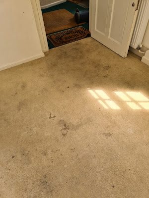 Professional dry carpet cleaning by Zero Dry Time Farnham