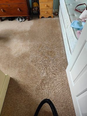 Professional dry carpet cleaning by Zero Dry Time Farnham