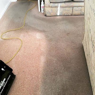 Professional dry carpet cleaning by Zero Dry Time Farnham