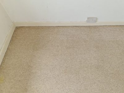 Professional dry carpet cleaning by Zero Dry Time Farnham
