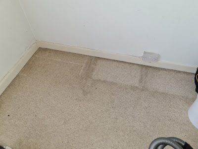 Professional dry carpet cleaning by Zero Dry Time Farnham