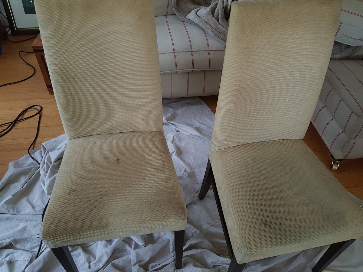 Sofa and upholstery cleaning by Zero Dry Time Farnham