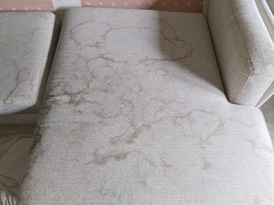 Sofa and upholstery cleaning by Zero Dry Time Farnham